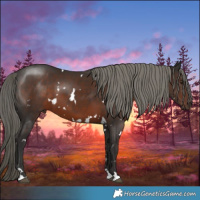 Horse Color:White Spotted Liver Chestnut Mushroom 