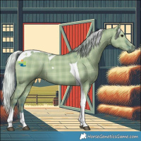 Horse Color:Watercolor Plaid  Silver Grullo Tobiano 