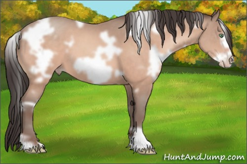 Horse Color:White Spotted Sable Champagne Mushroom Frame 