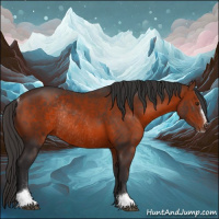 Horse Color:Bay Mushroom Sabino Rabicano 