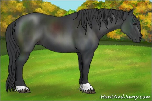 Horse Color:Black Mushroom 