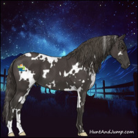 Horse Color:White Spotted Smoky Black 