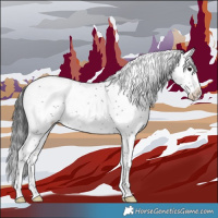 Horse Color:Black Sabino 