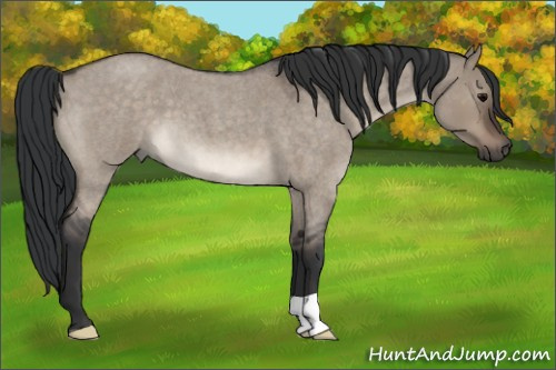 Horse Color:Brown Roan Dun 