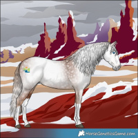 Horse Color:Gray Chestnut Splash 