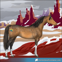 Horse Color:Buckskin Tobiano 