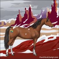 Horse Color:Bay Tobiano 