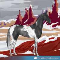 Horse Color:Black Tobiano Rabicano 