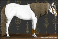 Horse Color:Buckskin Near Fewspot