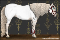 Horse Color:Smoky Creme Appaloosa
