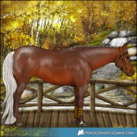 Horse Color:Silver Brown 