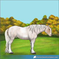 Horse Color:Red Roan Pearl Mushroom Tobiano Frame