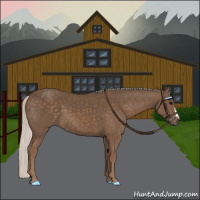 Horse Color:Silver Black 