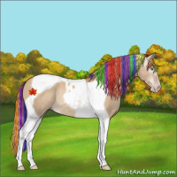 Horse Color:Gray Painted Gold Champagne Dun Tobiano Varnish Rabicano 