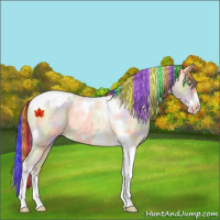 Horse Color:Painted Nacre Gold Cream Champagne Roan Dun Tobiano Frame Varnish Rabicano 