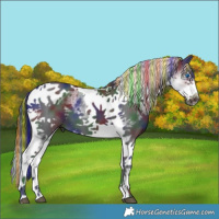 Horse Color:Painted Nacre White Spotted Black Splash Tobiano Frame 