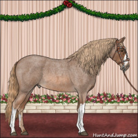 Horse Color:Red Roan