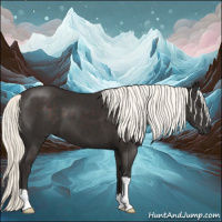 Horse Color:Liver Chestnut Mushroom 