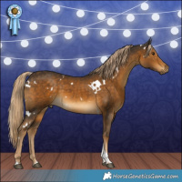 Horse Color:White Spotted Chocolate Palomino Tobiano 