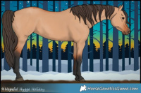 Horse Color:Bay Dun