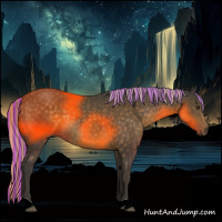 Horse Color:Painted Chocolate Palomino 