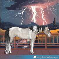 Horse Color:Brown Roan Dun Splash Tobiano Rabicano 