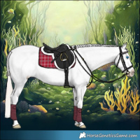 Horse Color:Chocolate Palomino Splash Tobiano Appaloosa Rabicano 