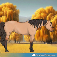 Horse Color:Bay Dun