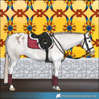 Horse Color:Classic Champagne Splash Appaloosa