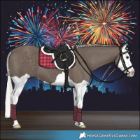 Horse Color:Silver Black Splash 