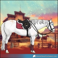 Horse Color:White Spotted Silver Classic Champagne Splash Appaloosa 