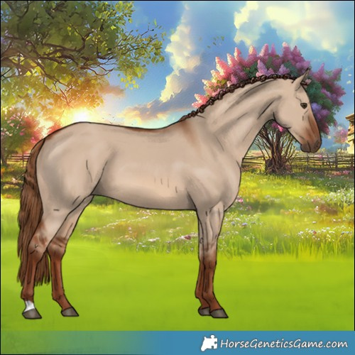 Horse Color:Red Dun 