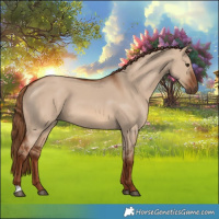 Horse Color:Red Dun
