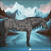 Horse Color:Black Ice