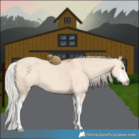 Horse Color:Silver Classic Champagne Dun Splash Frame 