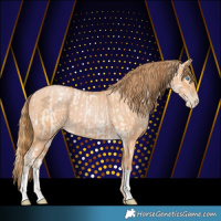 Horse Color:Buckskin Roan Pearl  and Bay Roan Pearl 
