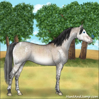 Horse Color:Brown Dun Mushroom Splash Tobiano Rabicano Brindle 
