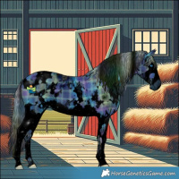 Horse Color:ERROR: UNKNOWN ANOMALY