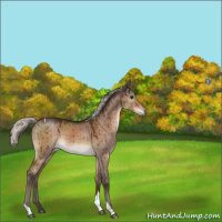 Horse Color:Silver Brown Dun Mushroom Tobiano Brindle 