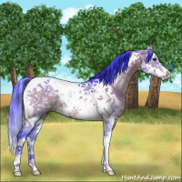 Horse Color:Watercolor Brown Ice Dun Splash Tobiano 