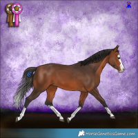 Horse Color:Bay Splash 