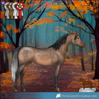 Horse Color:Brown Dun