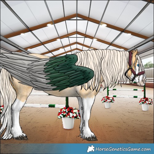 Horse Color:Palomino Roan Splash 