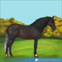 Horse Color:Brown 