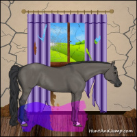 Horse Color:Grullo Rabicano 