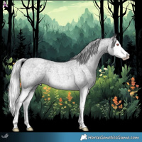 Horse Color:Silver Blue Chinchilla Roan Splash 