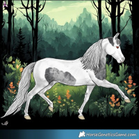 Horse Color:Silver Black Chinchilla Splash Tobiano 