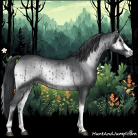 Horse Color:Blue Onyx Chinchilla