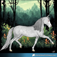 Horse Color:Silver Grullo Chinchilla Splash 