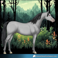 Horse Color:Classic Champagne Chinchilla Dun 